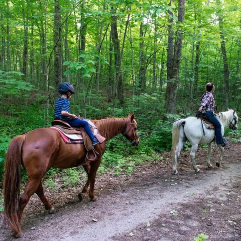 horseback-riding-768x768