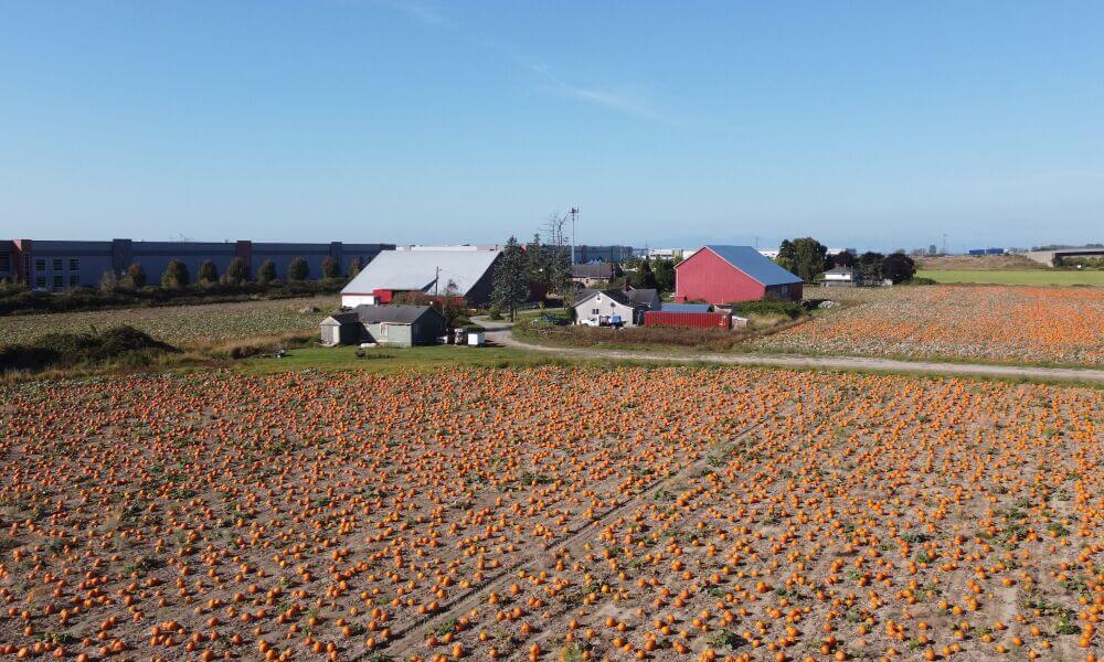 Farm House in Pumpkin Patch