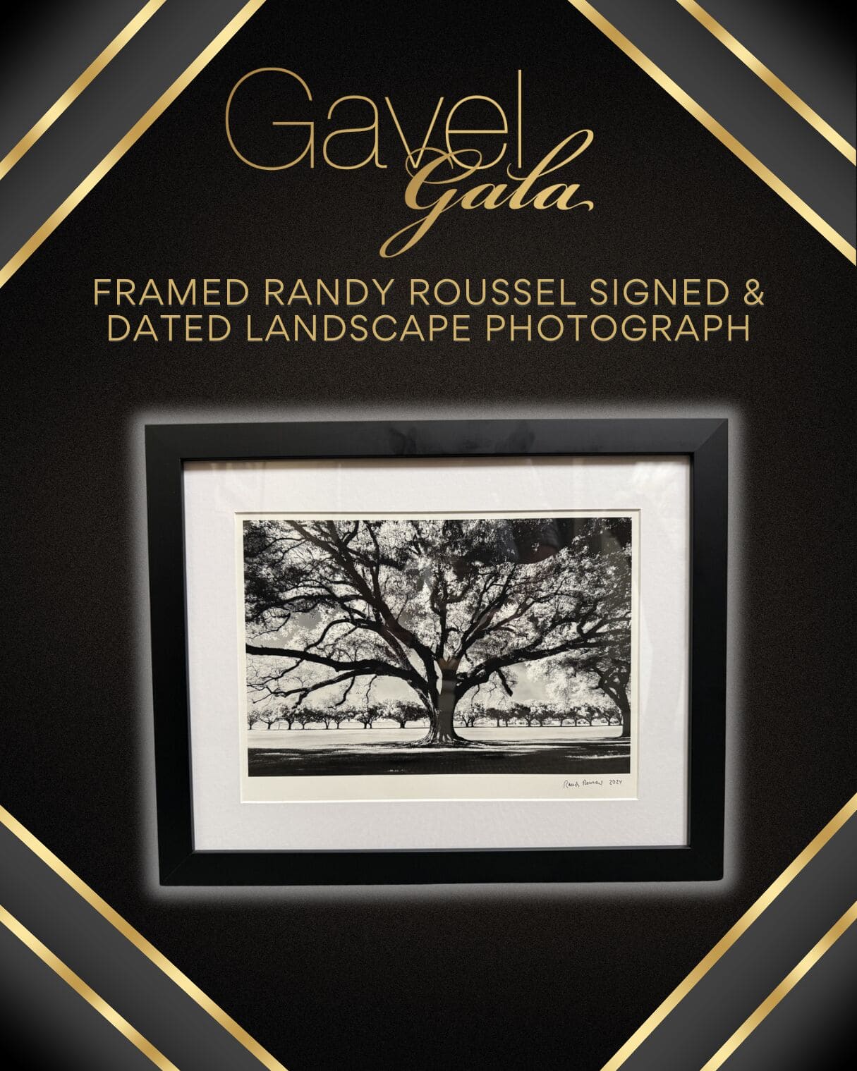 Gavel Gala Silent Auction Promo (16) Gavel Gala silent auction item: framed Randy Roussel signed and dated landscape photograph