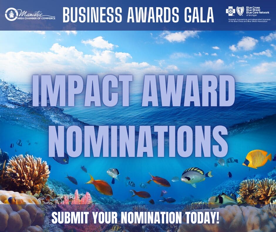 Impact Award Nominations