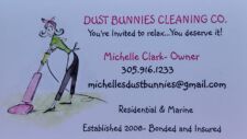 dust-bunnies-2-9eab7b1c54dba477d478dfe3e2cd70fd
