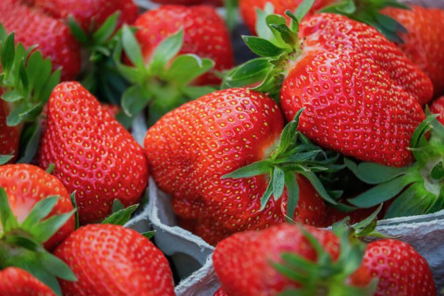 Strawberry Days