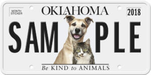 sample pet license plate 