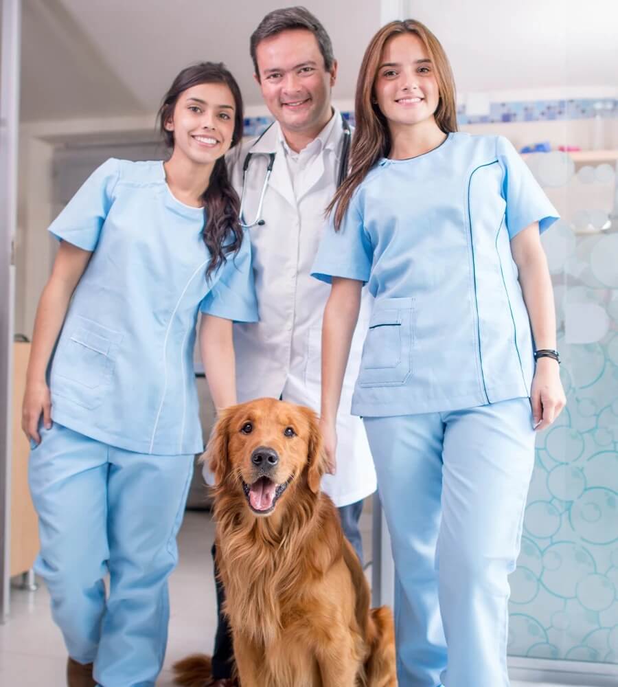 3 vet professionals with golden retriever