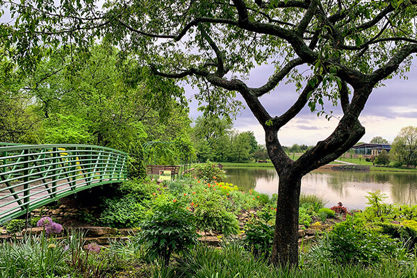 Arboretum