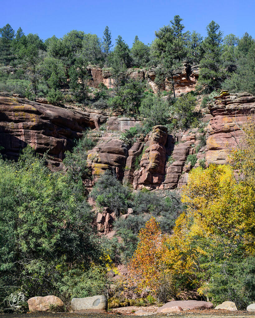 Red rock canyon with yellow and green foliage in autumn