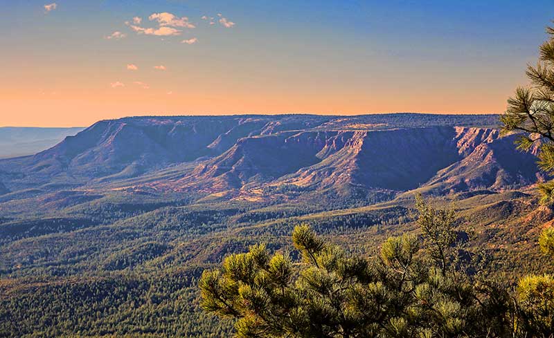 Mogollon Rim