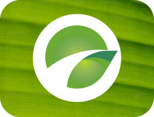 Greenville Chamber leaf icon