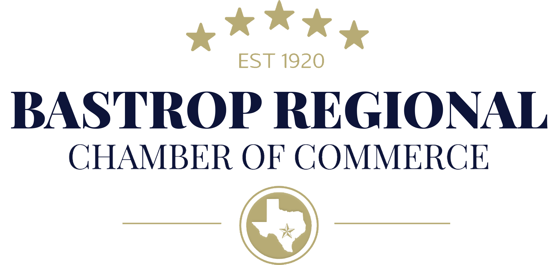PRIMARY BLUE BOLDED LOGO