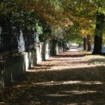 sidewalk