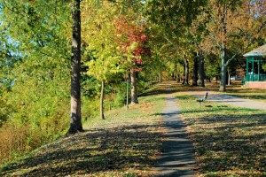leaf trail