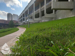 Vegetated HECP Project