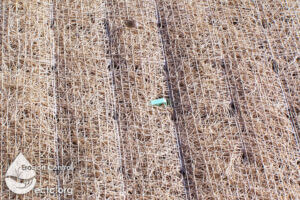 Excelsior RECP, Jute Netting, and Biostaples