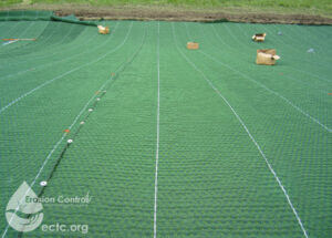 High Performance TRM Levee - Toe of Slope