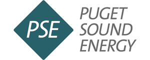 PSE Logo