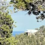 view of lake and trees around a modern building
