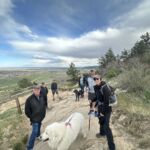 group of hikers with their dogs on trail
