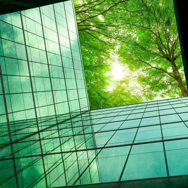 pward view of a modern glass building with reflective panels alongside a green tree canopy and sunlight shining through the leaves