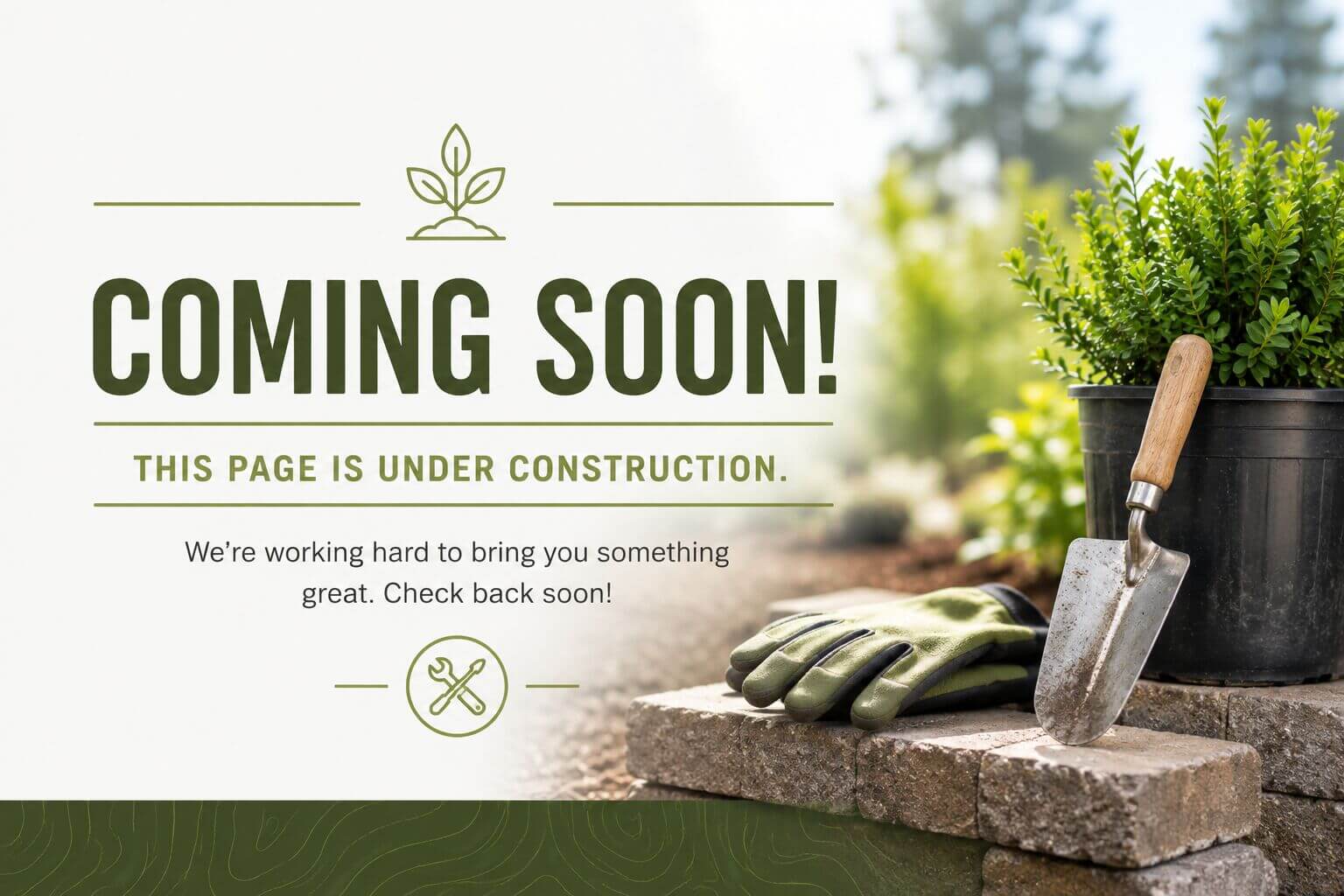 Coming Soon Image