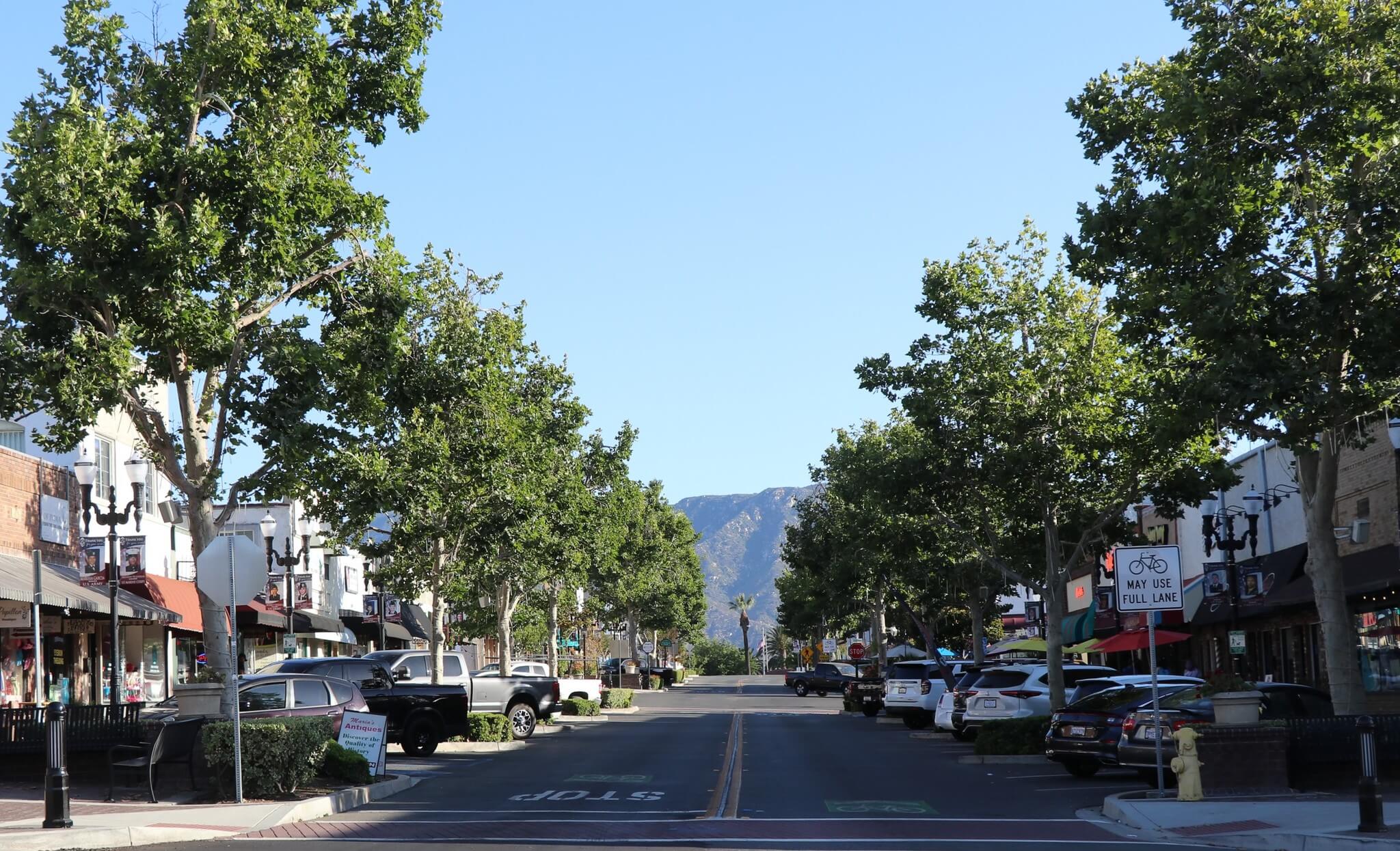 Downtown Main Street