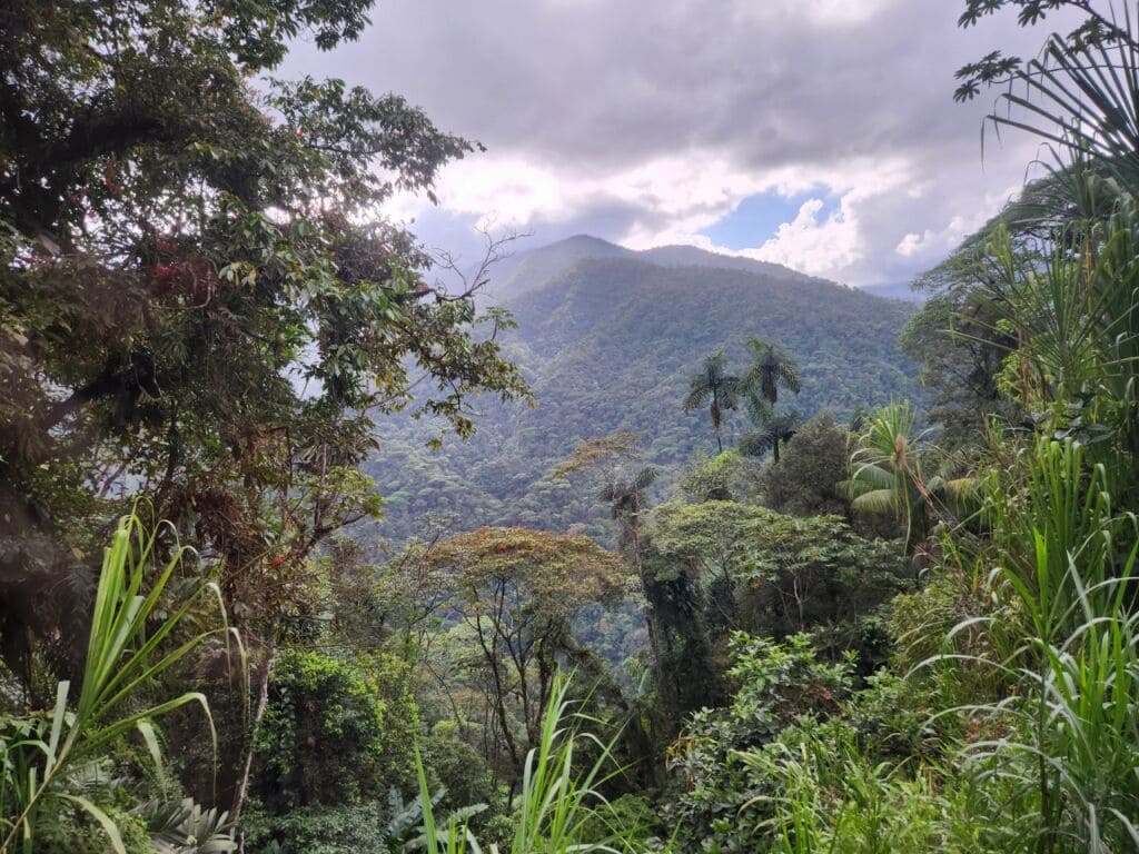 Costa Rica 2025