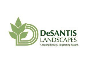 Desantis