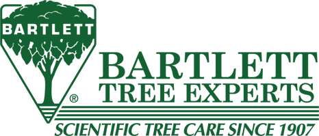 Bartlett