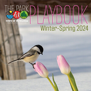 Winter-playbook