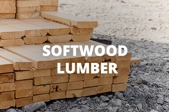 Softwood-Lumber