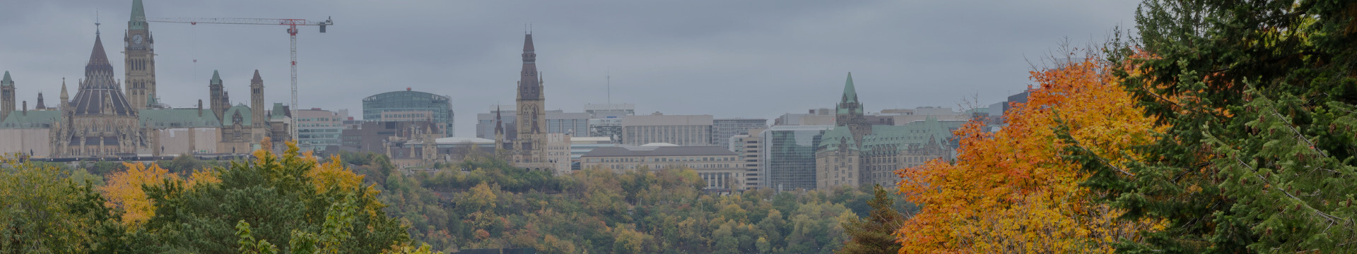 fall banner