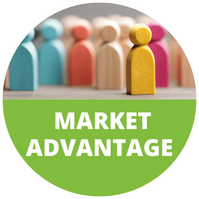 Net Zero Market Advantage