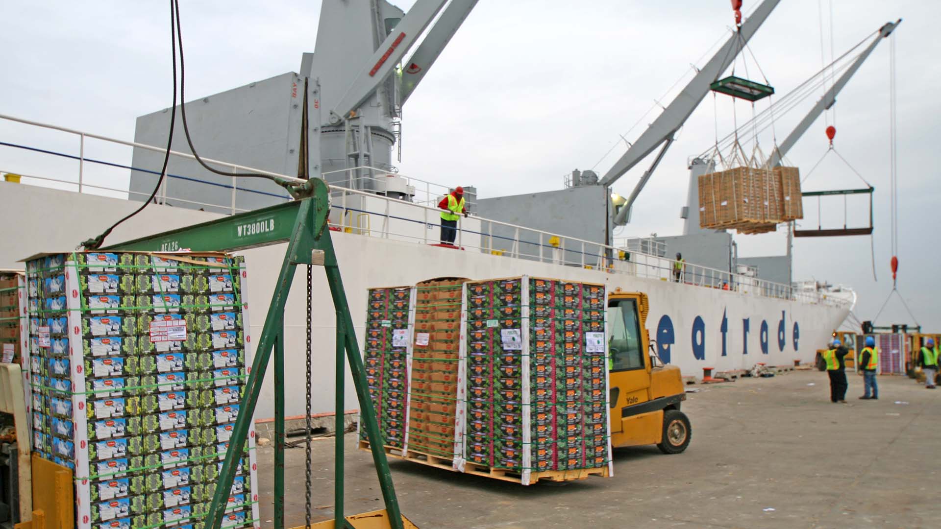 Fruit being unloaded from ship