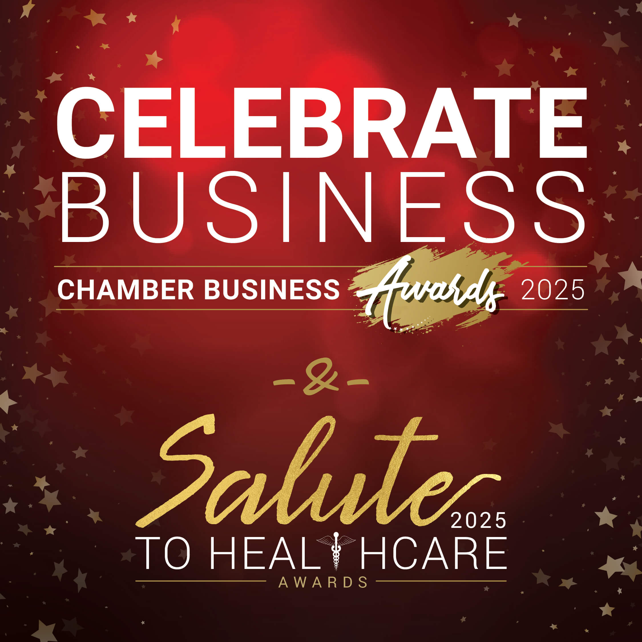 CHAMBER BUSINESS AWARDS