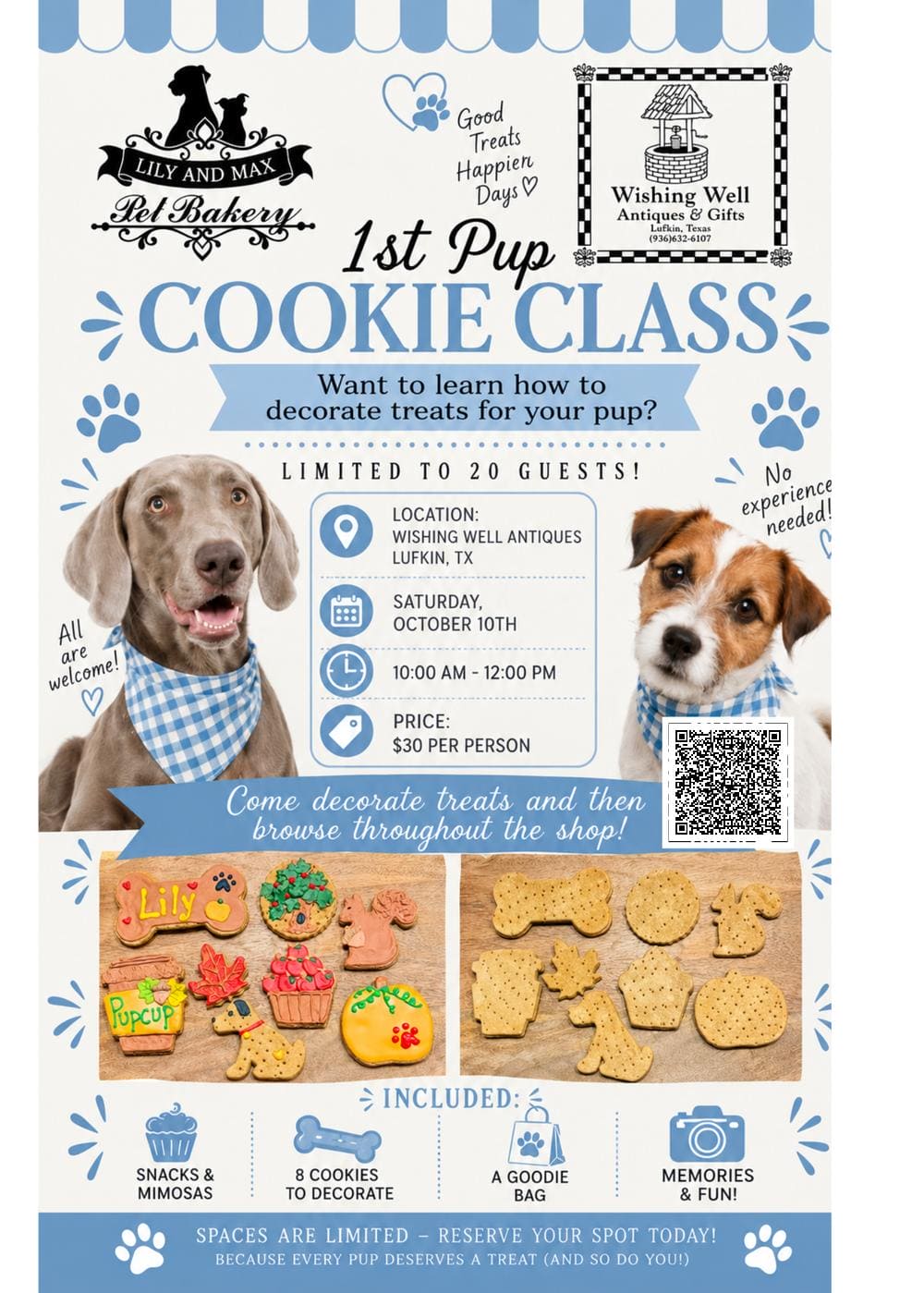 Flyer-Treat Class