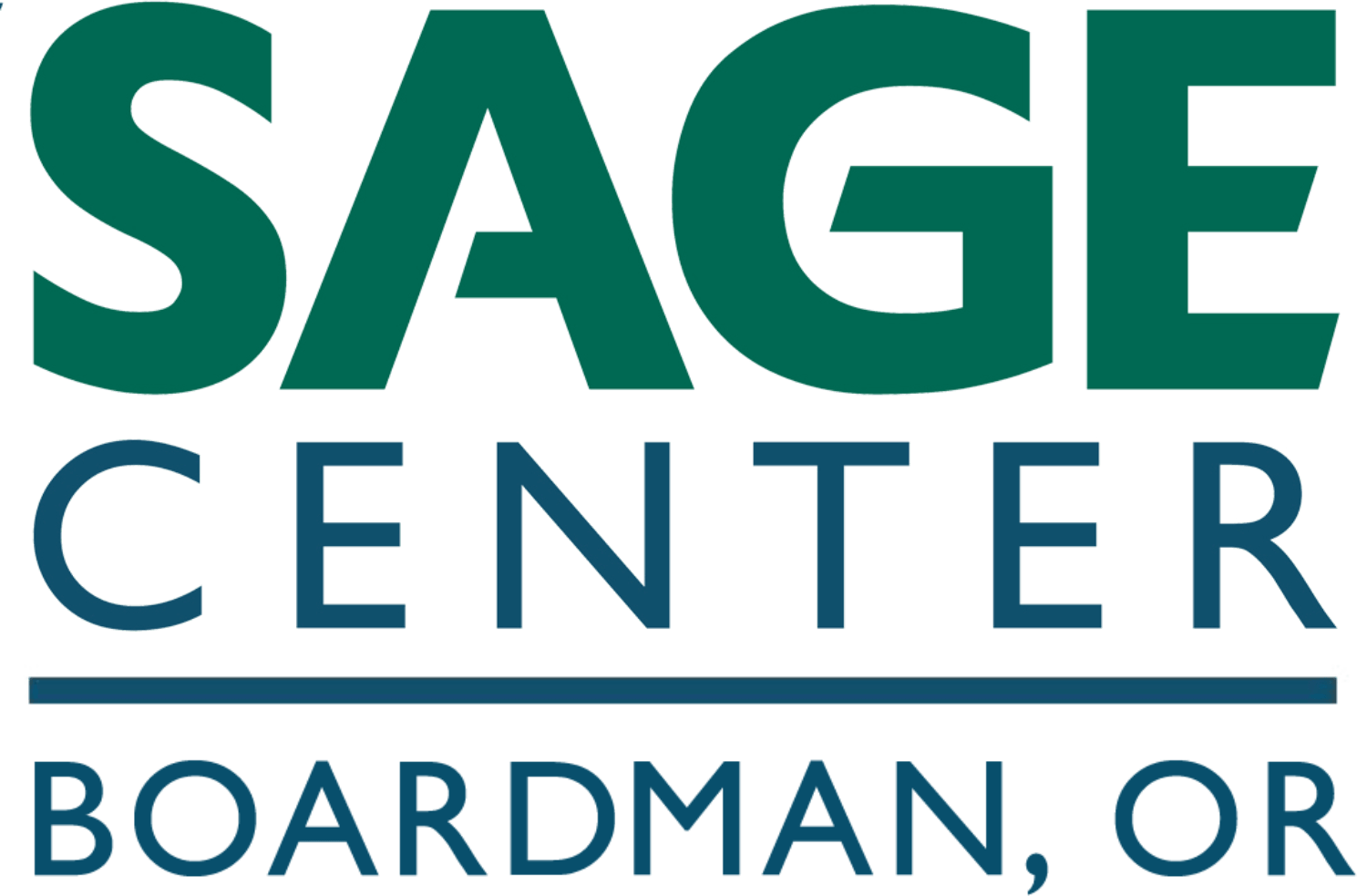 New SAGE Center logo (4) New SAGE Center logo (4)