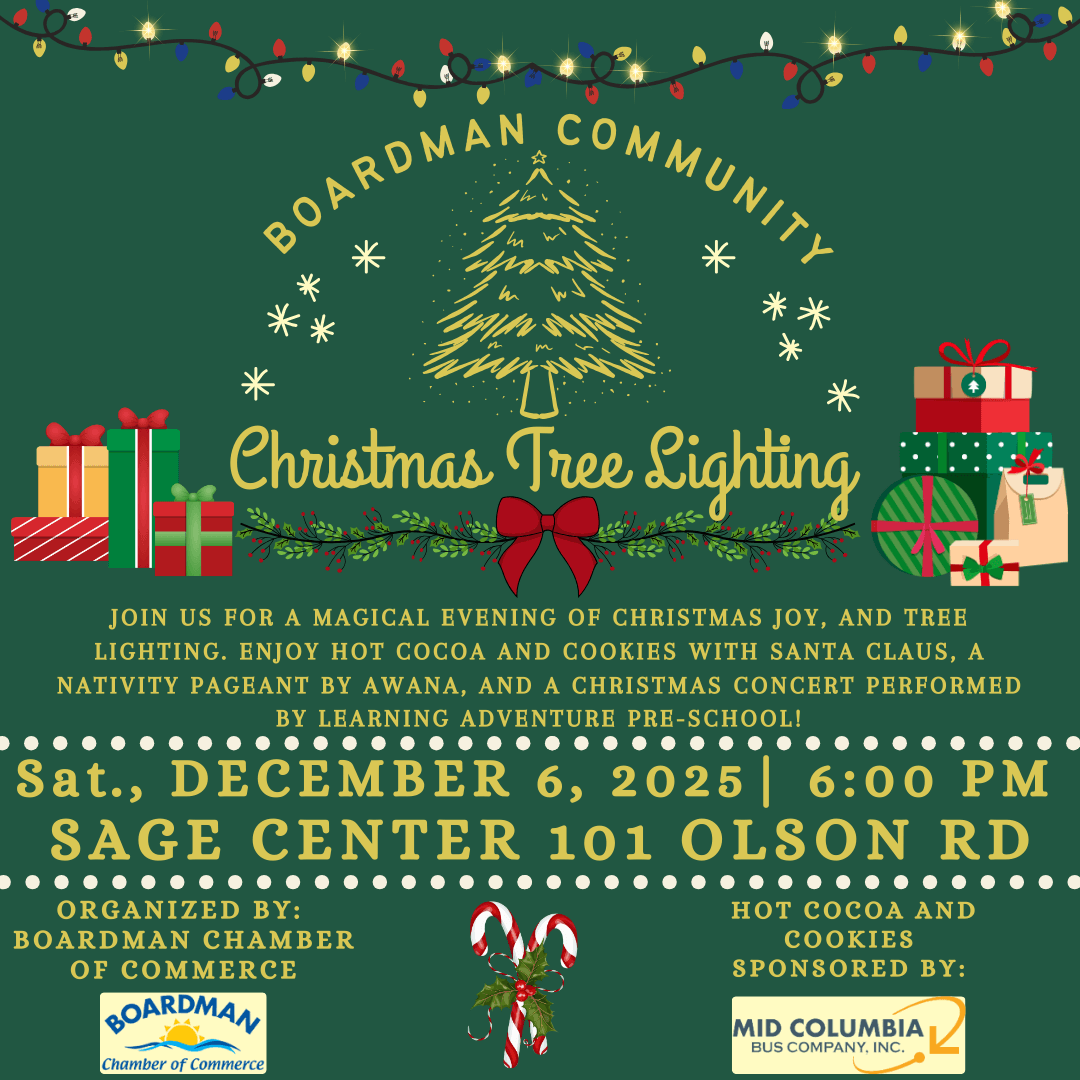 Boardman Christmas lighting 2025 - English (1)