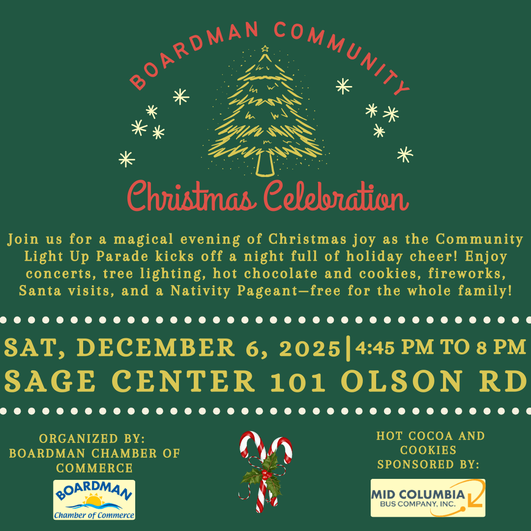 Boardman Christmas lighting 2025 - English (4) Boardman Christmas lighting 2025 - English (4)