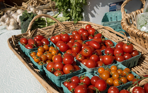 Fresh tomatoes, farmer's market, Whidbey Island