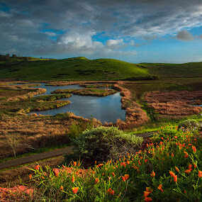 Coyote Hills Regional Park