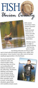 Fish Union County Brochure