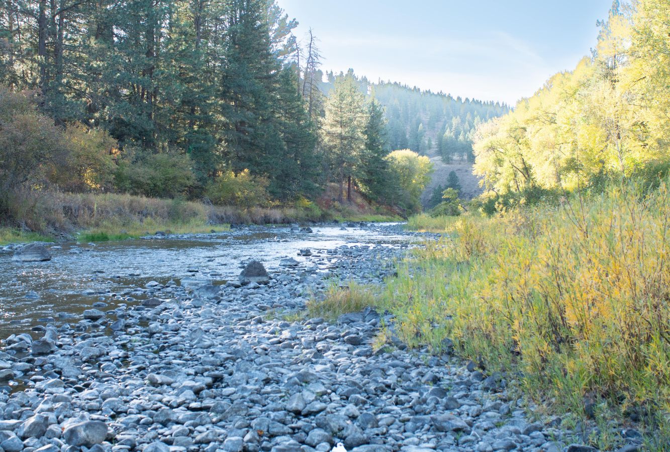 Hilgard Junction State Park