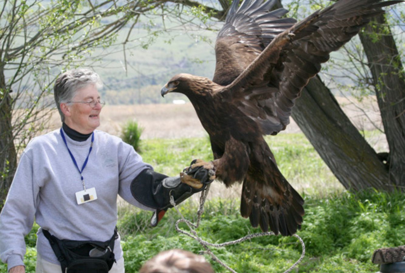 Ladd Marsh Bird Festival