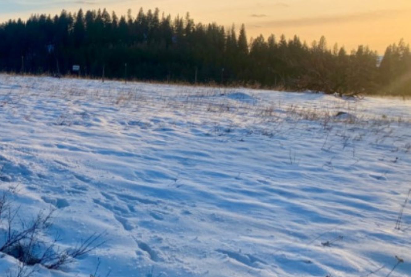 Meachum Divide/ Mt. Emily Sno-Park