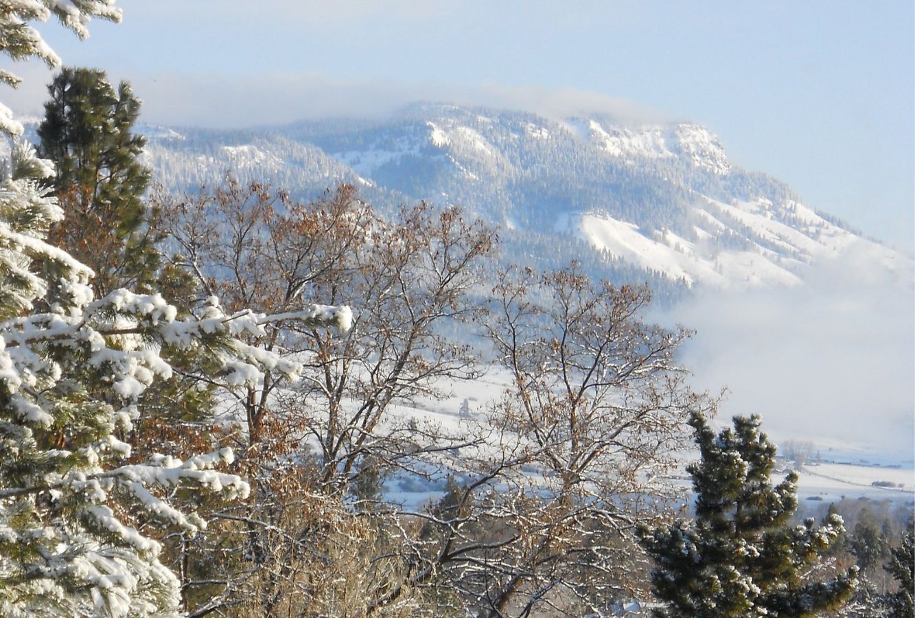 Mt. Emily Recreation Area