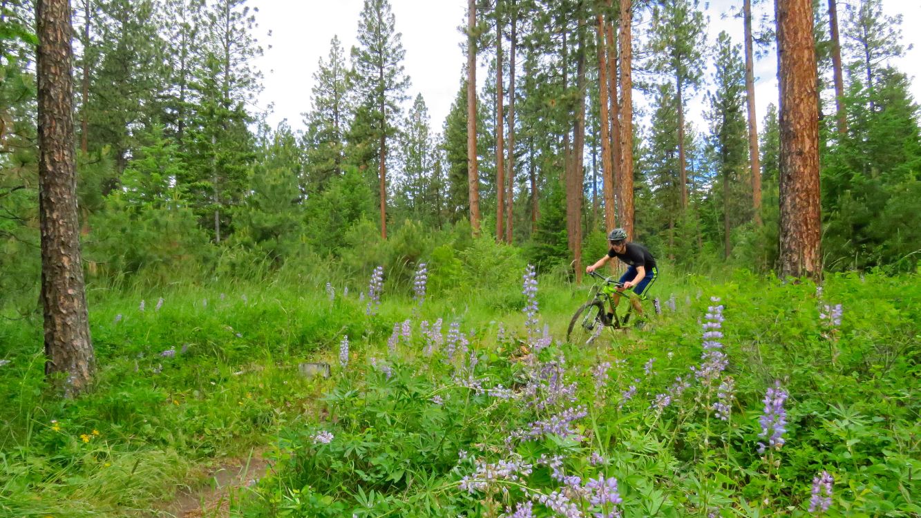 Mt. Emily Recreational Area