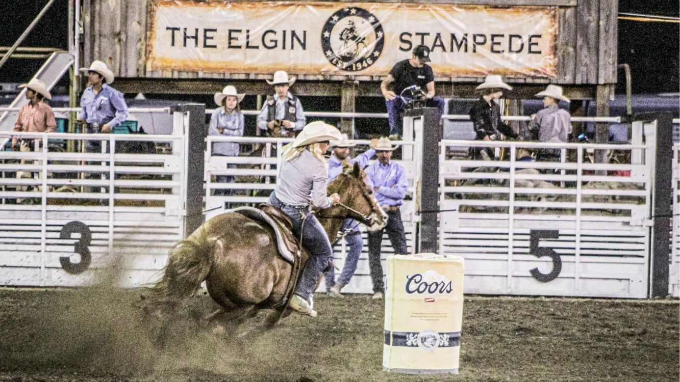 The Elgin Stampede