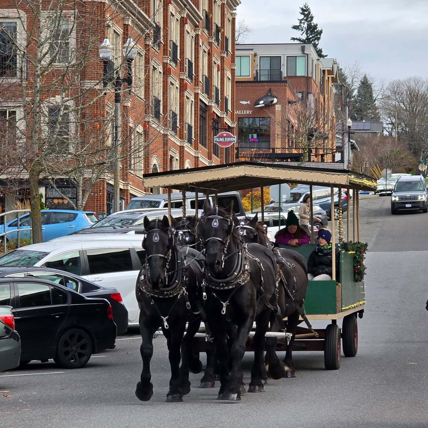 Horse drawn carriage