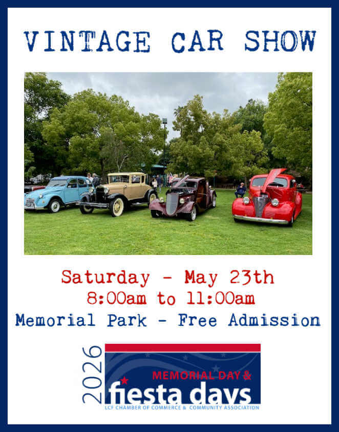 Vintage Car Show