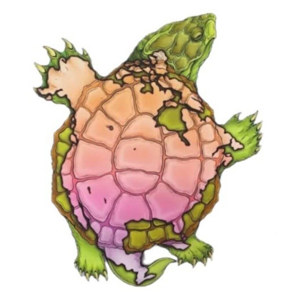 Turtle with image of North America over its shell