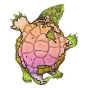 Turtle with image of North America over its shell